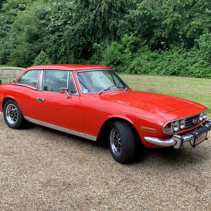 Red Triumph Stag